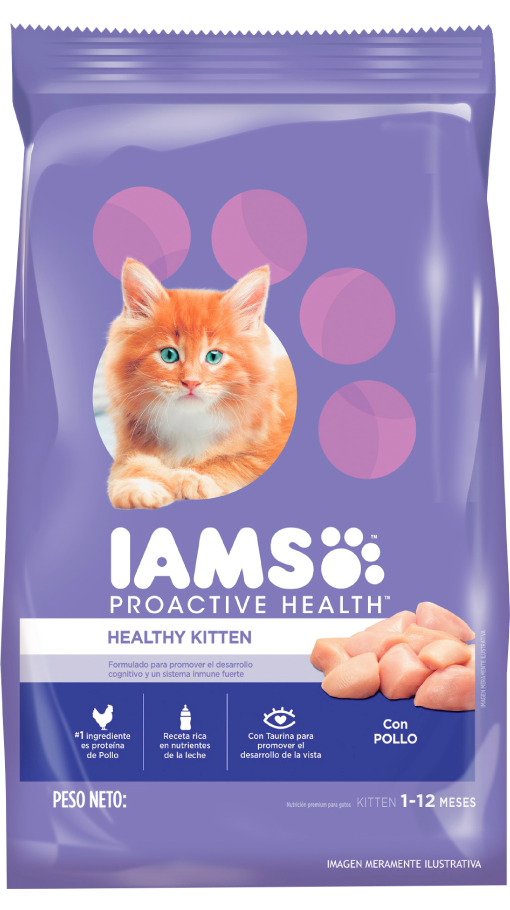 iams gato kitten